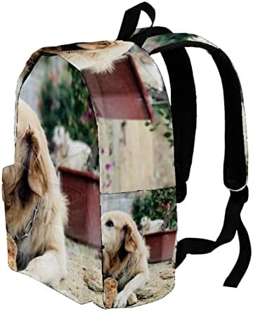 VBFOFBV LAPTOP Ruksak, elegantni putujući ruksak povremeni dnevni paketi za rame za muškarce, a životinjski zlatni retriver