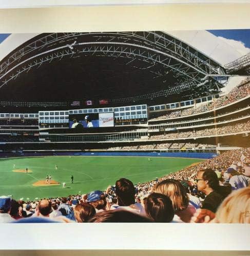 Terrence Fogarty potpisao Pennant Fever Sky Dome Blue Jays Litho Auto CoA AP /100 - Autografirani MLB Art